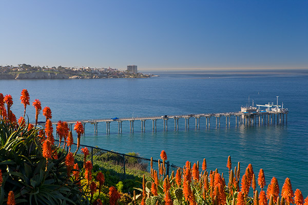 Scripps Pier by day